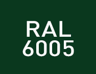 Ral 6005